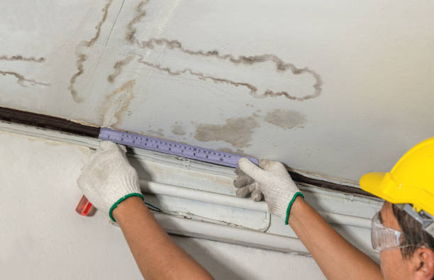 Reliable Mold Remediation contractor in Jerry City, OH by Water Damage Irwin